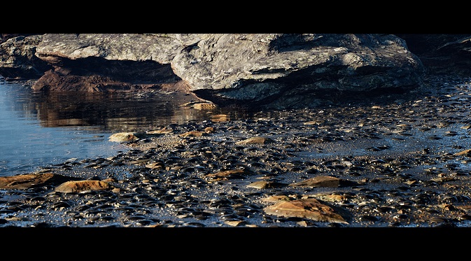 Begini Wujud Pantai “Palsu” yang Bisa Dibuat dengan Unreal Engine 4
