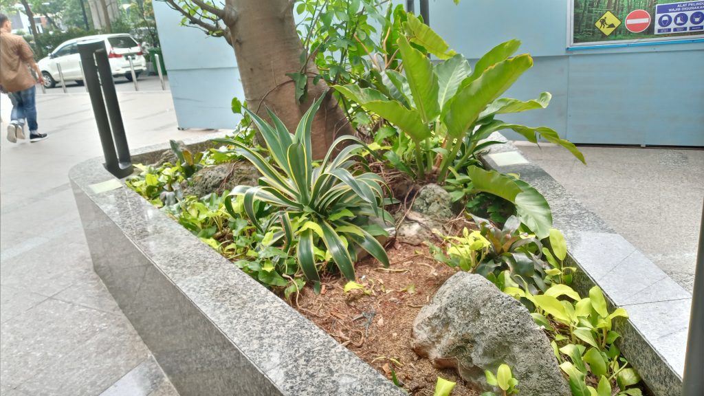 Hasil Foto Kamera Samsung Galaxy A10s