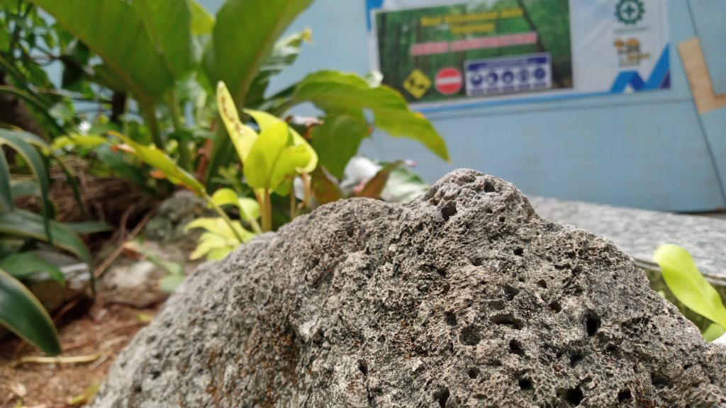 Hasil Foto Kamera Samsung Galaxy A10s