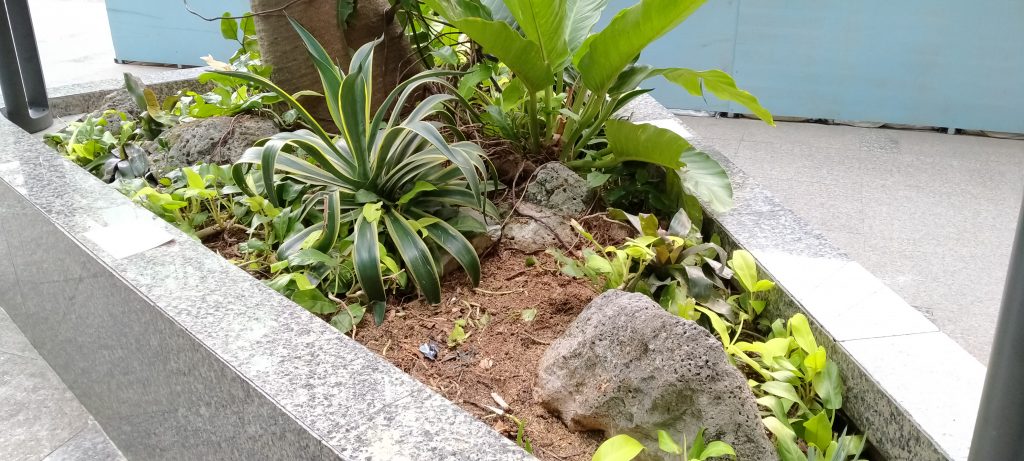 Contoh Foto Oppo A5 2020