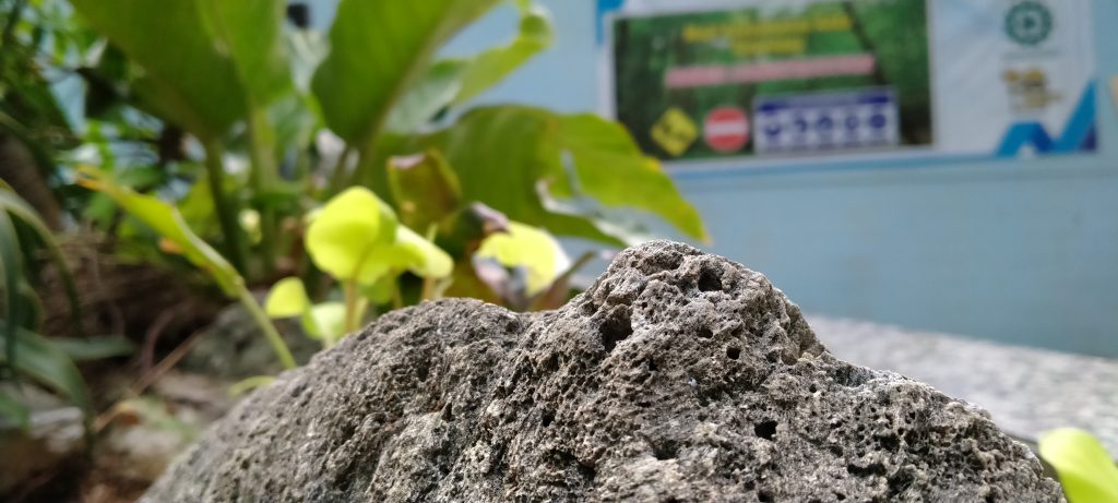Contoh Foto Oppo A5 2020