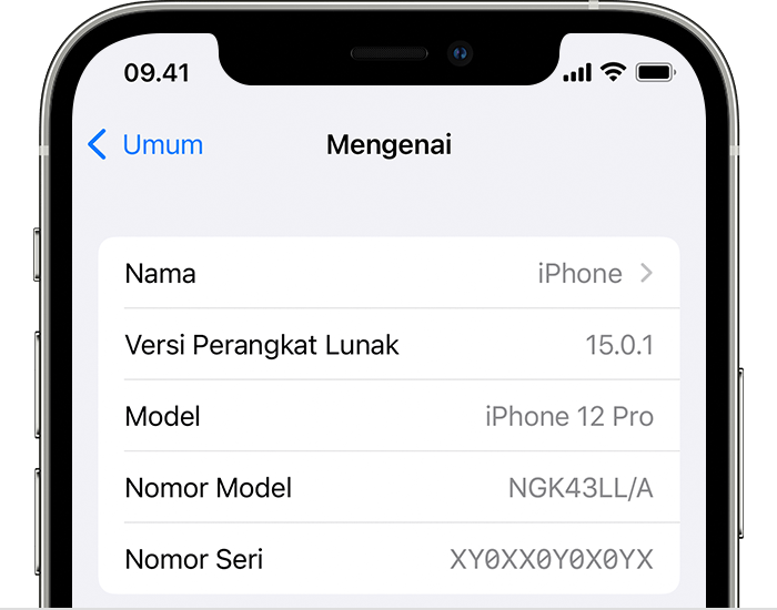 ios15 iphone12 pro settings general about crop