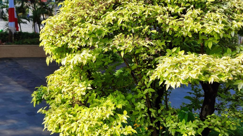IMG 20220707 144834 1024x576