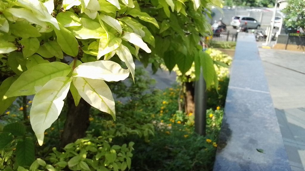 Hasil Foto realme Pad Mini