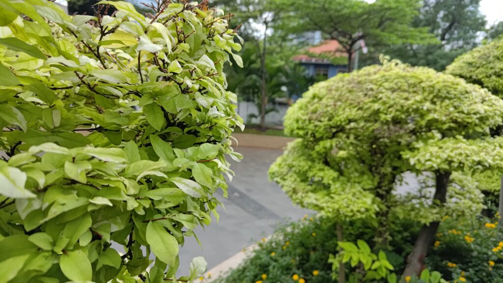 P 20230119 024156 1 1024x576