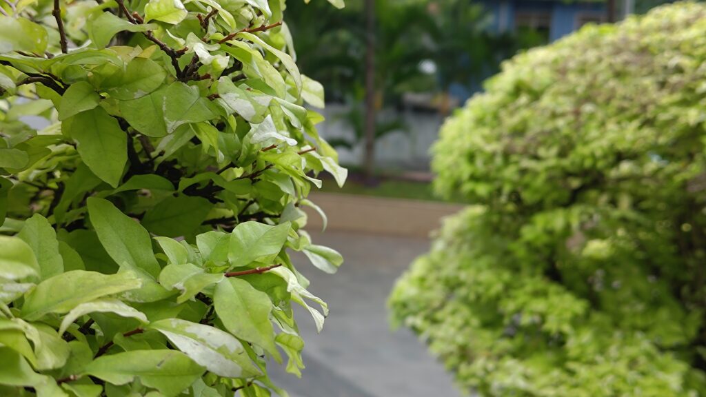 P 20230119 024206 1 1024x576