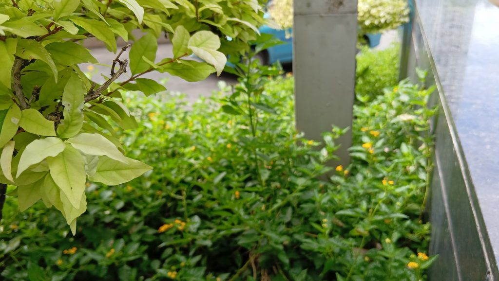 IMG20241212093944 1024x578