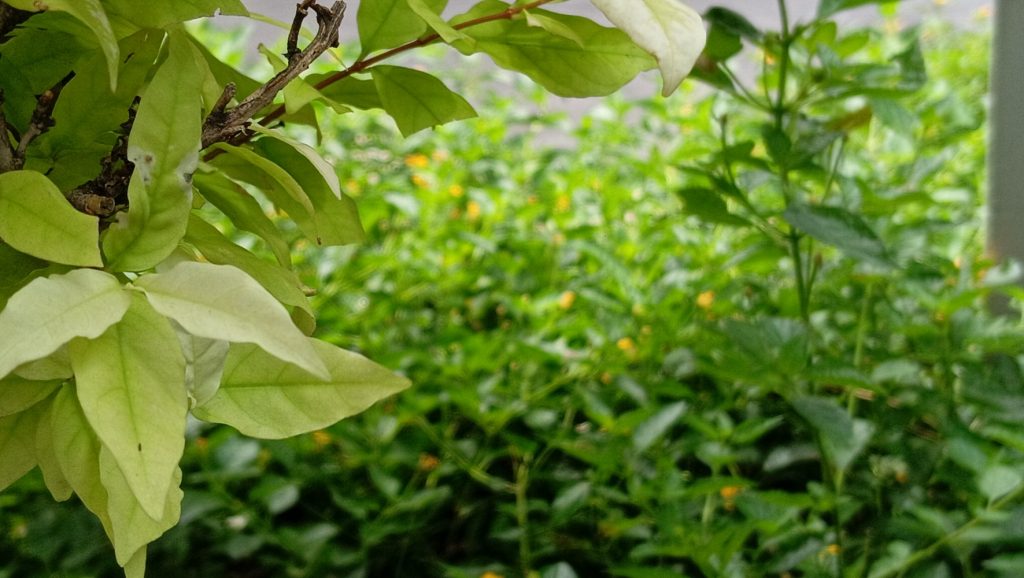 IMG20241212093951 1024x578