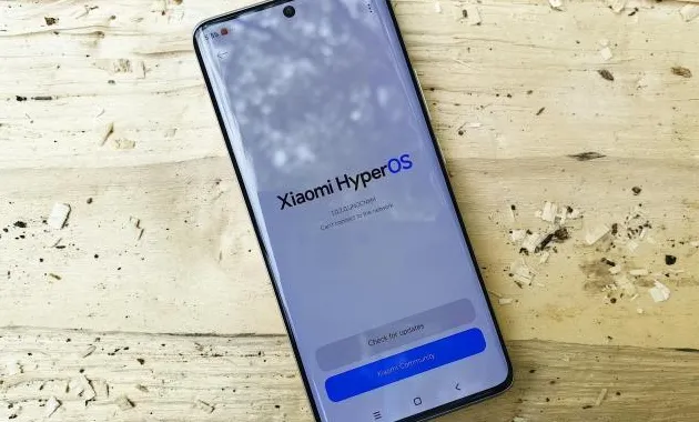Ilustrasi HyperOS di HP Xiaomi.</p>
						<!-- End of .single-blog-wrapper -->
					</article>
					<!-- End of .post-details -->

					<!-- pagination -->

							
										<!-- end of pagination -->

					<div class=
