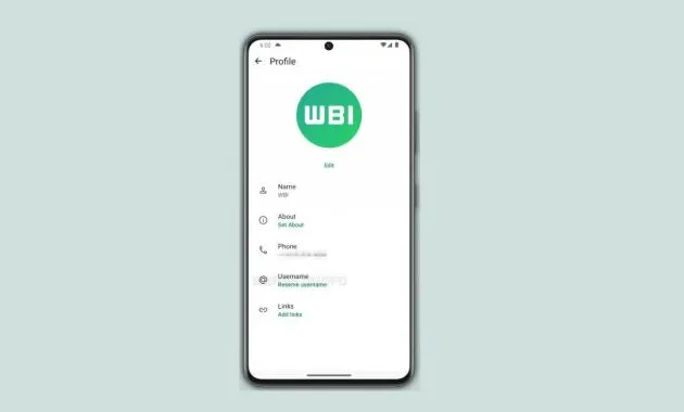 Fitur username WhatsApp.</p>
						<!-- End of .single-blog-wrapper -->
					</article>
					<!-- End of .post-details -->

					<!-- pagination -->

							
										<!-- end of pagination -->

					<div class=