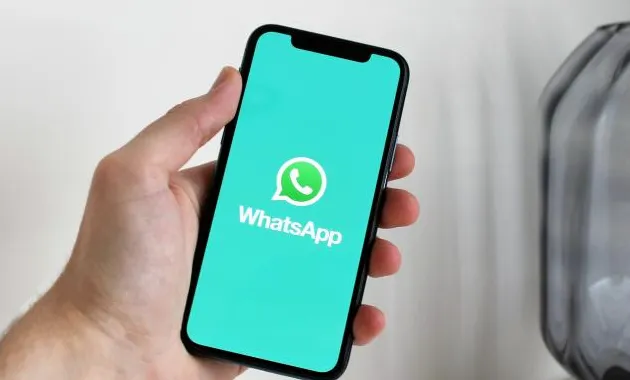 Ilustrasi WhatsApp.</p>
						<!-- End of .single-blog-wrapper -->
					</article>
					<!-- End of .post-details -->

					<!-- pagination -->

							
										<!-- end of pagination -->

					<div class=