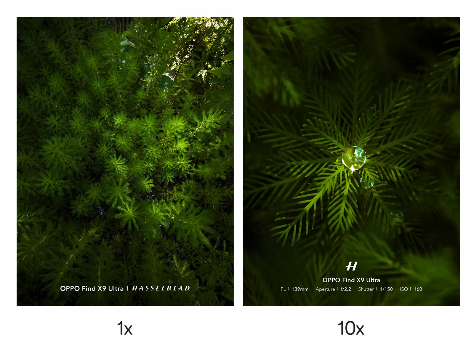 Content image for article: OPPO Find X9 Ultra Buktikan Kualitas 10x True Optical Zoom
