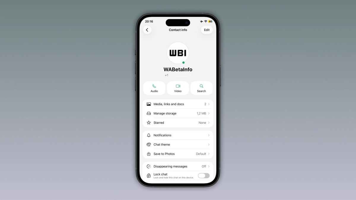 WhatsApp Uji Indikator Titik Hijau di iOS