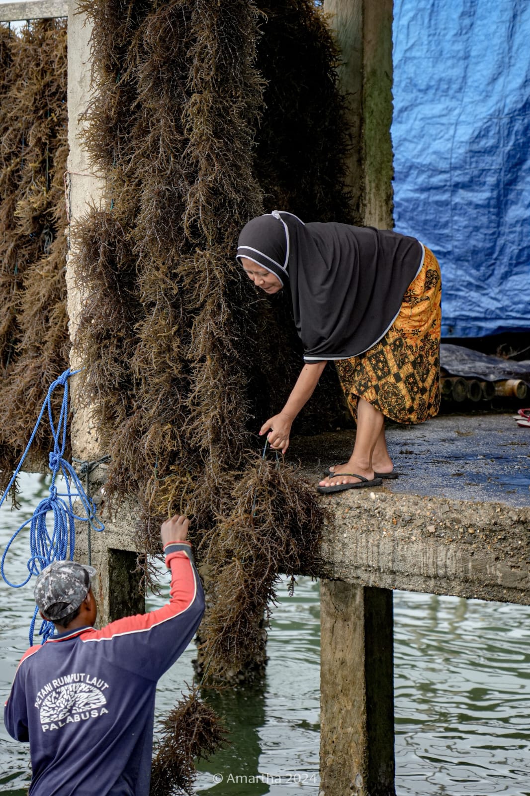 Content image for article: Amartha Perkuat Ketahanan Pangan lewat Perempuan Perdesaan