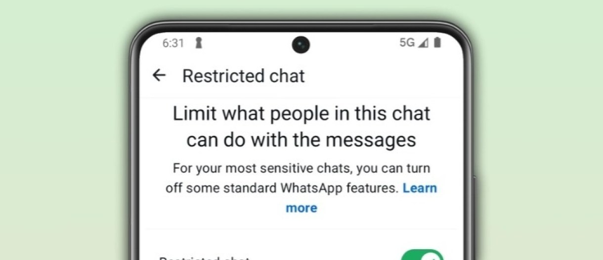 WhatsApp Restricted Chat Hadir di Android dan iOS Beta